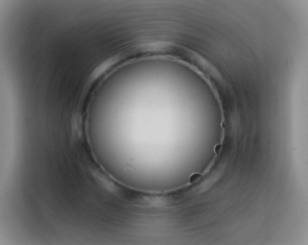 X0000113940970200910021259