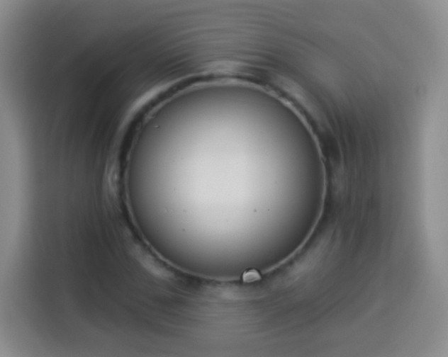 X0000113940971200910021259