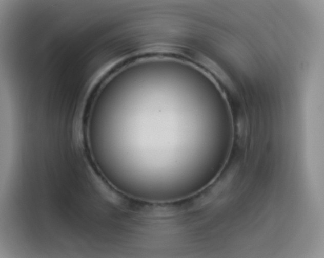 X0000113940972200910021259