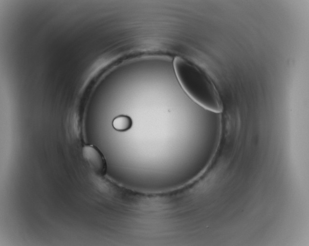 X0000113940973200910021259