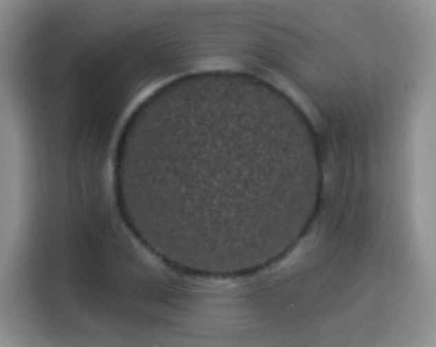 X0000113940975200910021259