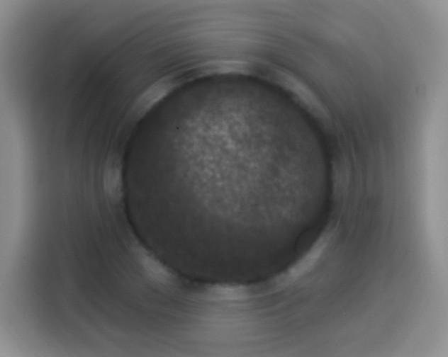 X0000113940977200910021259