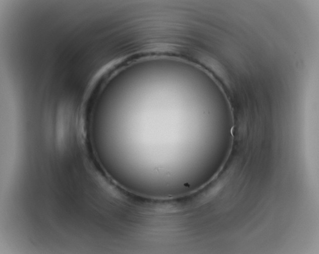 X0000113940979200910021259