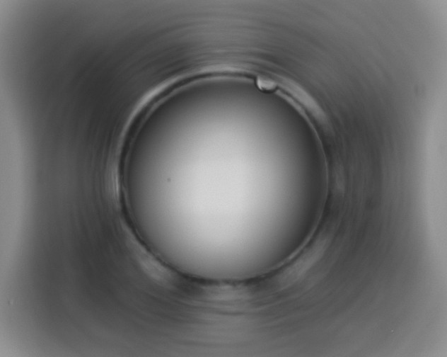 X0000113940980200910021259