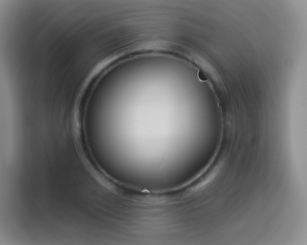 X0000113940981200910021259