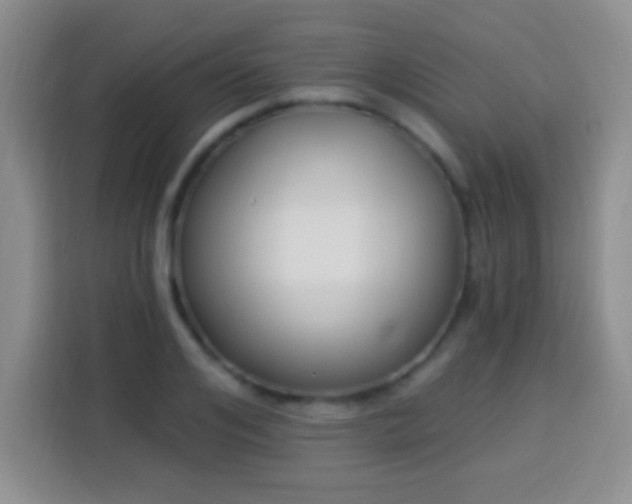 X0000113940984200910021259