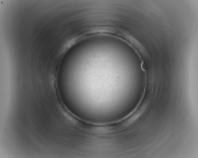 X0000113940985200910021259