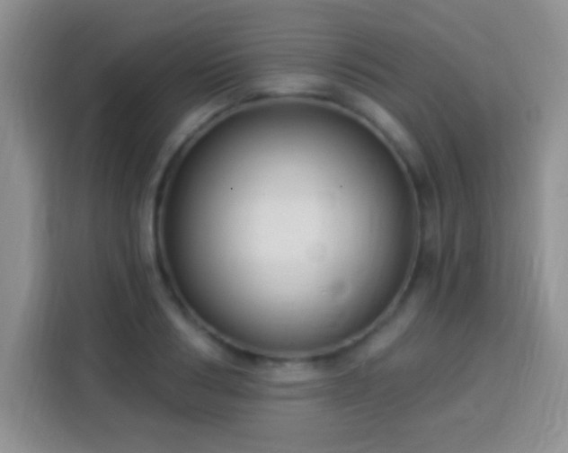 X0000113940986200910021259