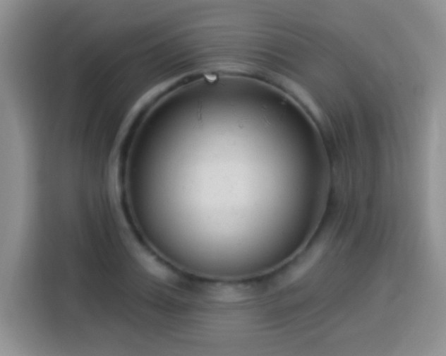 X0000113940987200910021259