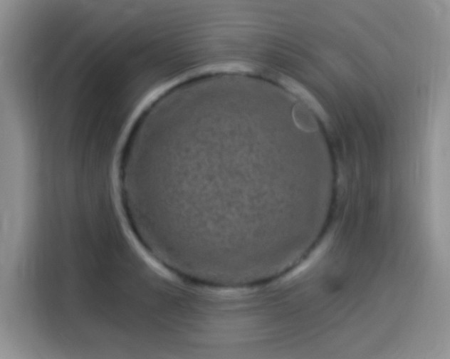 X0000113940989200910021259