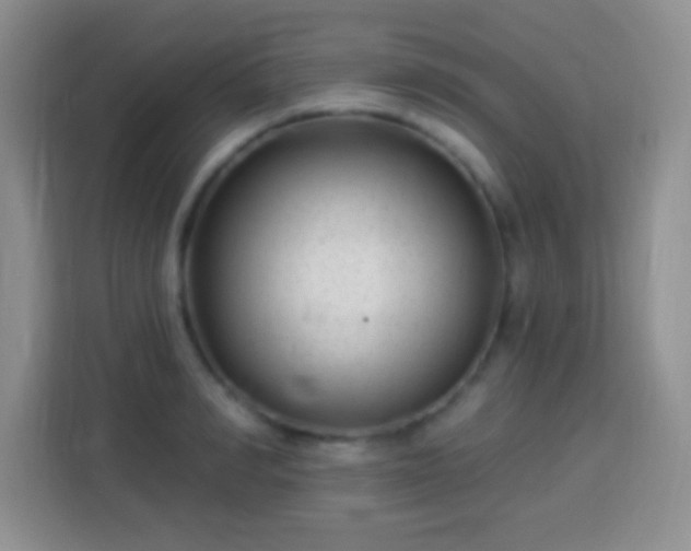 X0000113940990200910021259