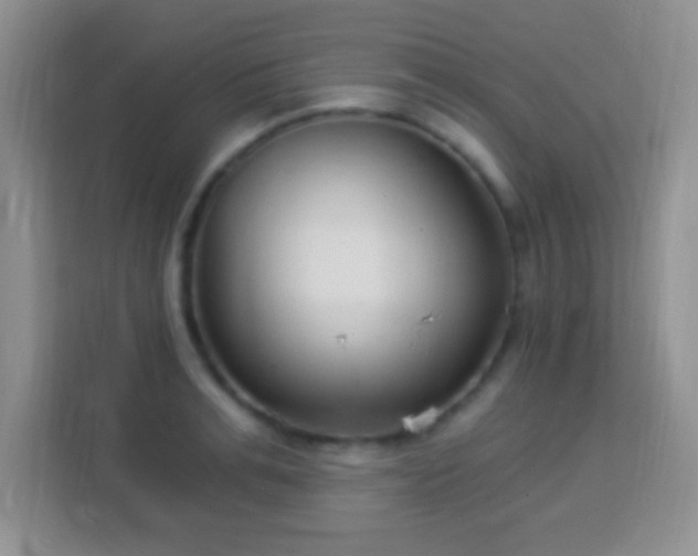 X0000113940991200910021259