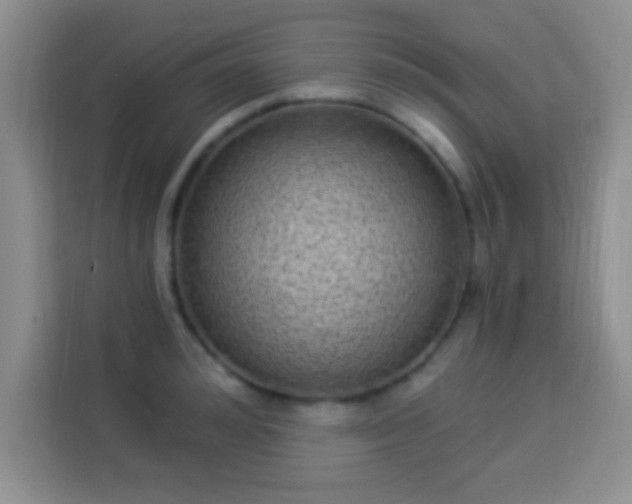 X0000113940992200910021259