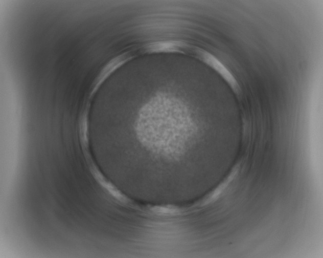 X0000113940994200910021259