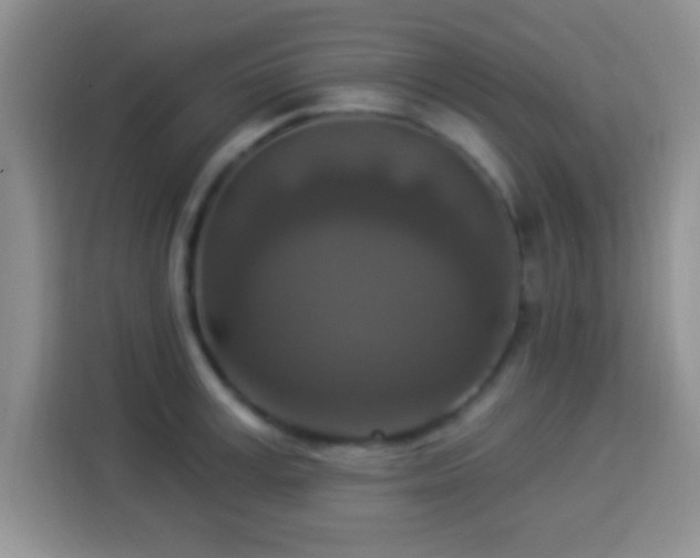 X0000113940995200910021259