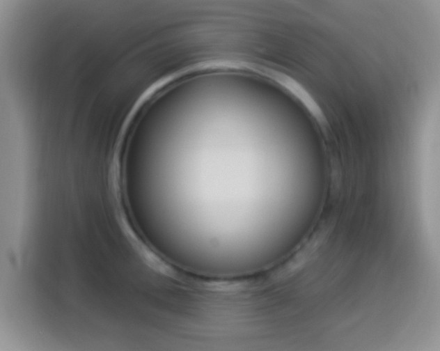 X0000113940996200910021259