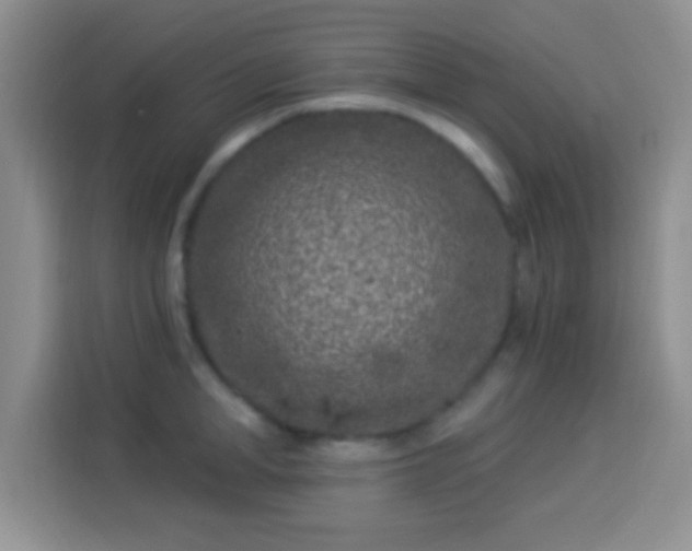 X0000113940998200910021259