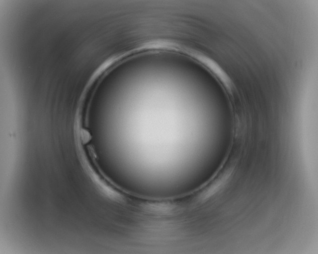 X0000113940999200910021259