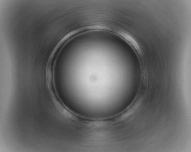 X0000113941000200910021259