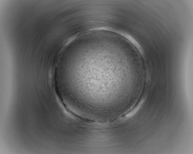 X0000113941001200910021259