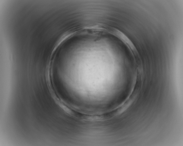 X0000113941002200910021259