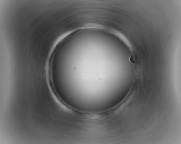 X0000113941003200910021259