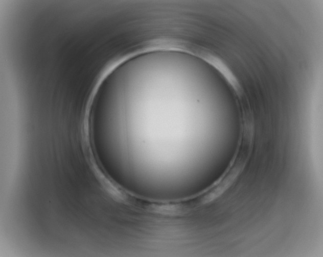 X0000113941004200910021259