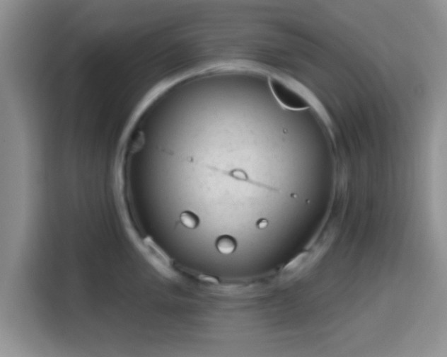 X0000113941005200910021259