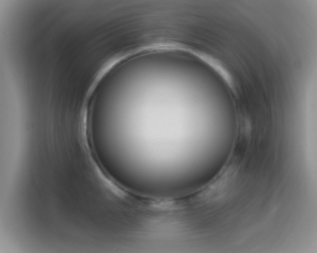 X0000113941006200910021259