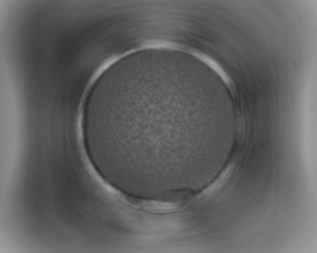 X0000113941007200910021259