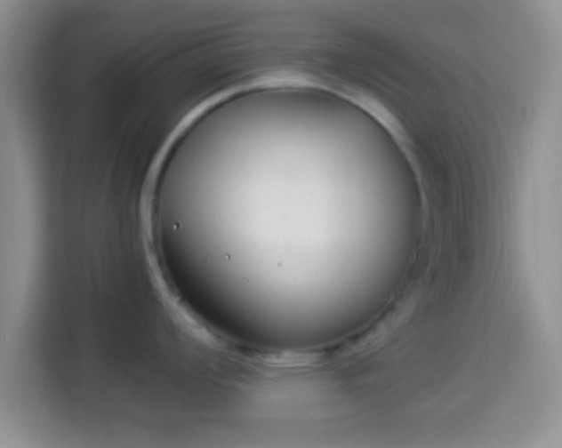 X0000113941008200910021258