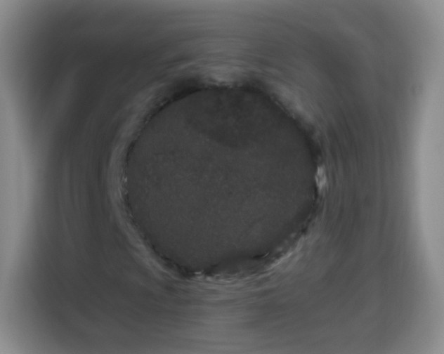 X0000113941009200910021258