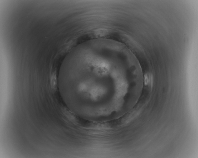 X0000113941011200910021258