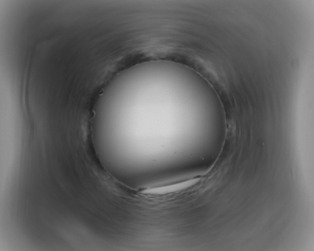 X0000113941012200910021258