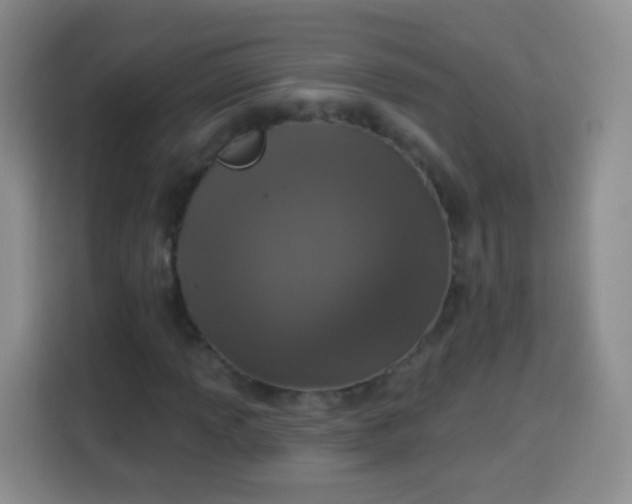 X0000113941013200910021258