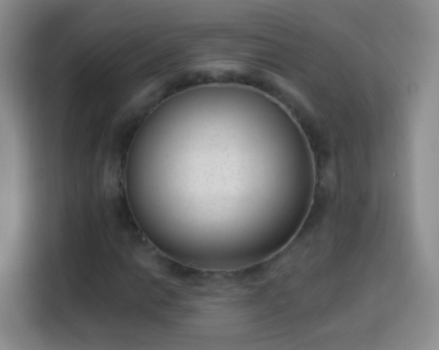 X0000113941014200910021258