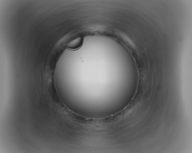 X0000113941016200910021258