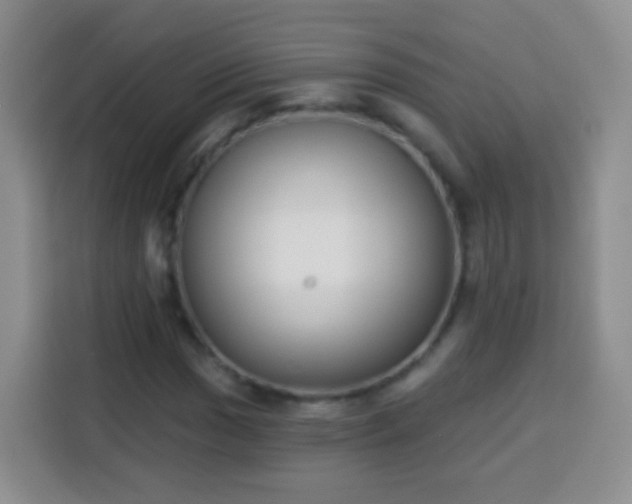 X0000113941017200910021258