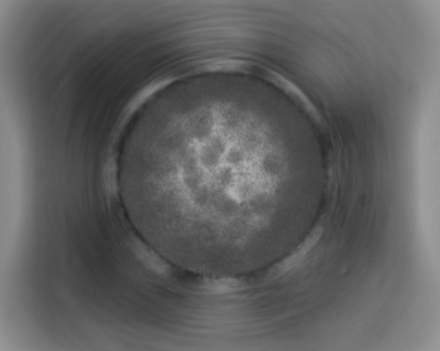 X0000113941019200910021258