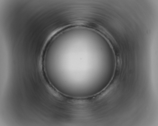 X0000113941020200910021258