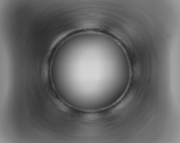 X0000113941021200910021258