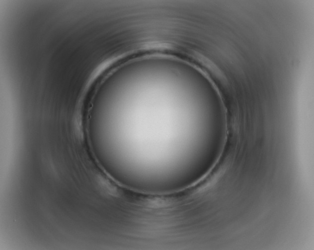 X0000113941022200910021258