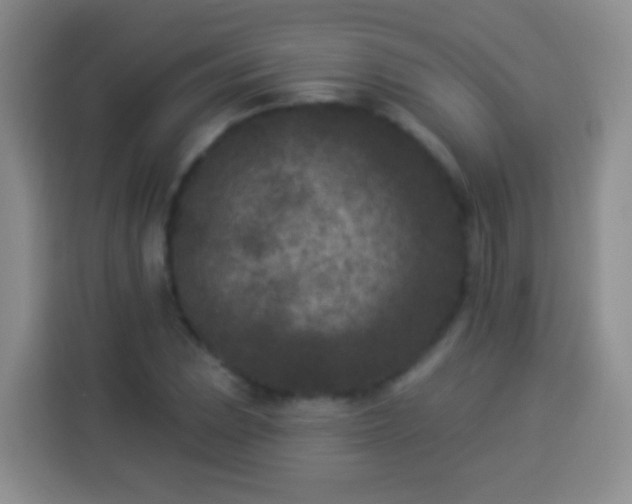 X0000113941023200910021258