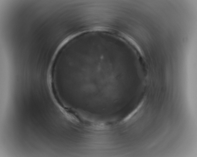 X0000113941024200910021258