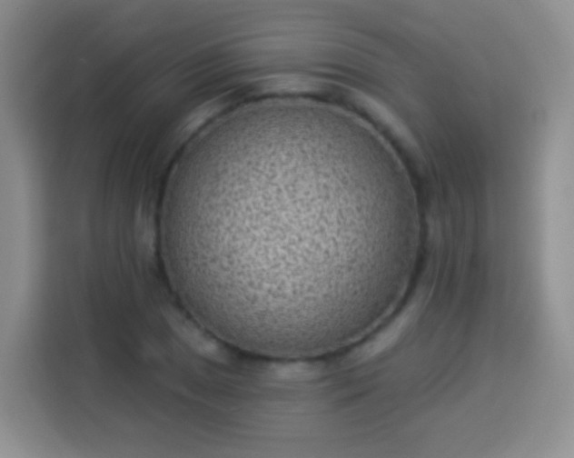 X0000113941025200910021258