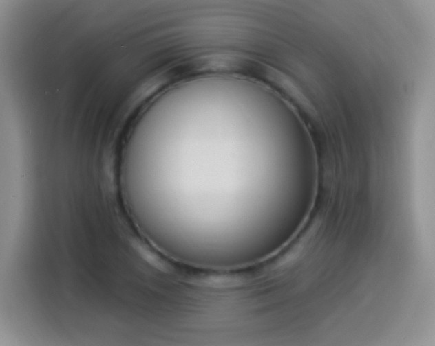 X0000113941026200910021258