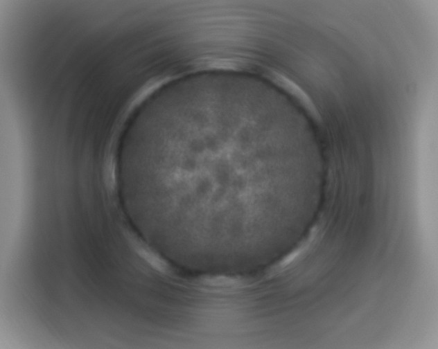 X0000113941027200910021258