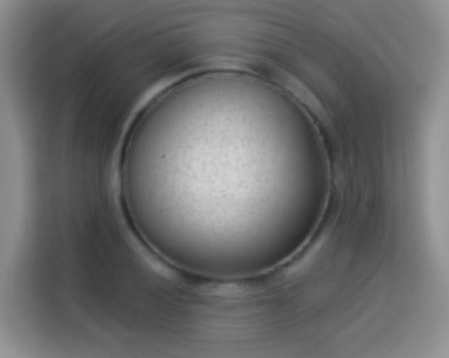 X0000113941028200910021258