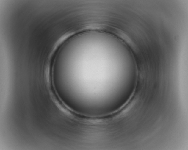 X0000113941030200910021258