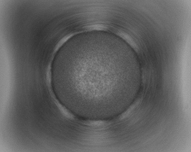 X0000113941031200910021258